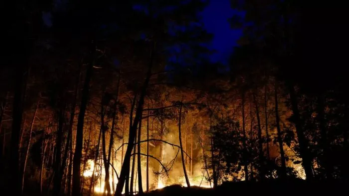 Île-de-France : la forêt de Fontainebleau en proie à un incendie d’une “ampleur exceptionnelle”