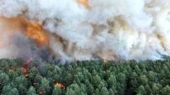 Wildfire raging south of Paris could have been set deliberately, says minister